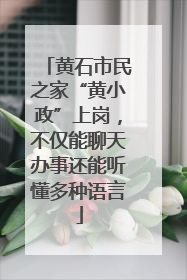 黄石市民之家“黄小政”上岗，不仅能聊天办事还能听懂多种语言