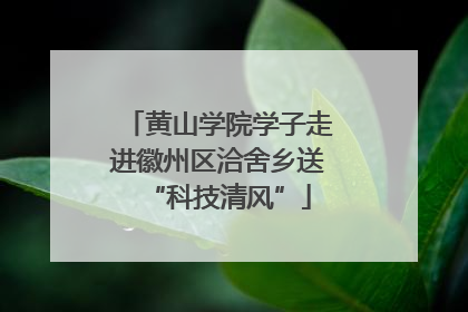 黄山学院学子走进徽州区洽舍乡送“科技清风”