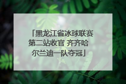 黑龙江省冰球联赛第二站收官 齐齐哈尔兰迪一队夺冠