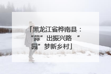 黑龙江省桦南县：“蒜”出振兴路 “园”梦新乡村