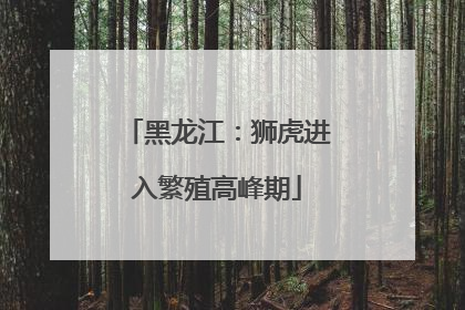 黑龙江：狮虎进入繁殖高峰期