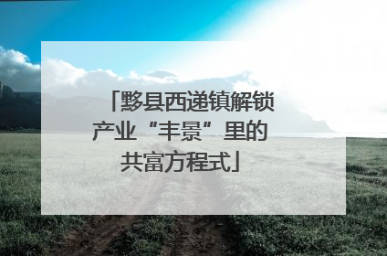 黟县西递镇解锁产业“丰景”里的共富方程式