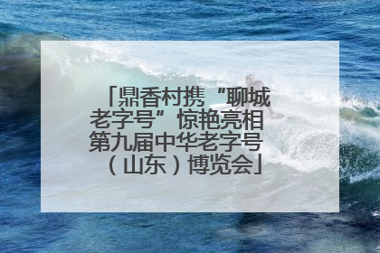 鼎香村携“聊城老字号”惊艳亮相第九届中华老字号（山东）博览会