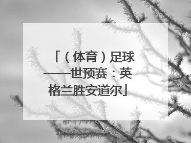 （体育）足球——世预赛：英格兰胜安道尔