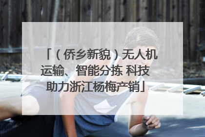 （侨乡新貌）无人机运输、智能分拣 科技助力浙江杨梅产销
