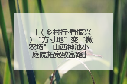 （乡村行·看振兴）“方寸地”变“微农场” 山西神池小庭院拓宽致富路