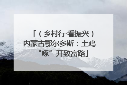 （乡村行·看振兴）内蒙古鄂尔多斯：土鸡“啄”开致富路