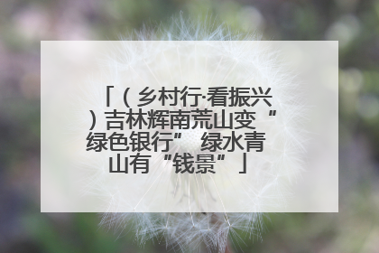 （乡村行·看振兴）吉林辉南荒山变“绿色银行” 绿水青山有“钱景”
