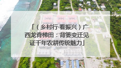 （乡村行·看振兴）广西龙脊梯田：背篓变迁见证千年农耕传统魅力