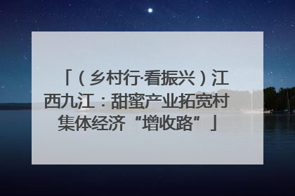 （乡村行·看振兴）江西九江：甜蜜产业拓宽村集体经济“增收路”