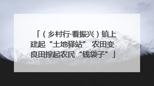 （乡村行·看振兴）镇上建起“土地驿站” 农田变良田撑起农民“钱袋子”