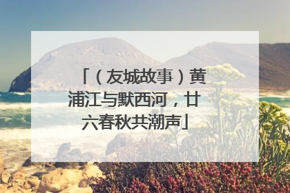 （友城故事）黄浦江与默西河，廿六春秋共潮声