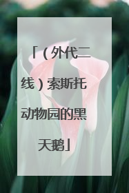 （外代二线）索斯托动物园的黑天鹅