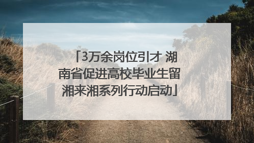 3万余岗位引才 湖南省促进高校毕业生留湘来湘系列行动启动