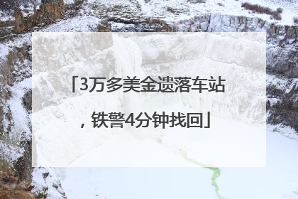 3万多美金遗落车站，铁警4分钟找回