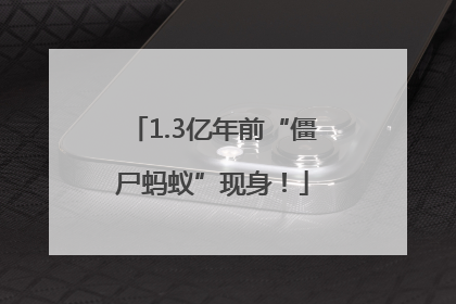 1.3亿年前“僵尸蚂蚁”现身！