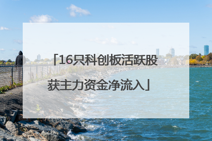 16只科创板活跃股获主力资金净流入