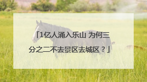 1亿人涌入乐山 为何三分之二不去景区去城区？
