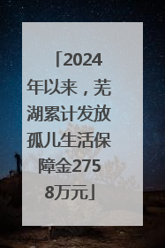 2024年以来，芜湖累计发放孤儿生活保障金2758万元