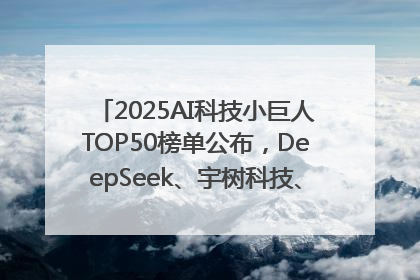 2025AI科技小巨人TOP50榜单公布，DeepSeek、宇树科技、蘑菇车联等企业荣誉上榜