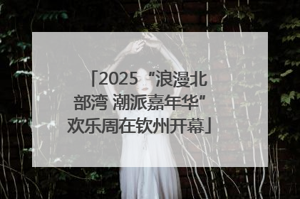 2025“浪漫北部湾 潮派嘉年华”欢乐周在钦州开幕