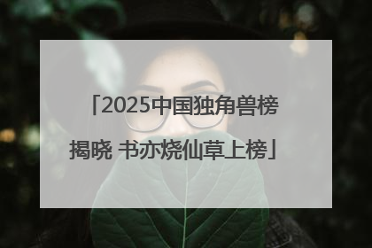 2025中国独角兽榜揭晓 书亦烧仙草上榜