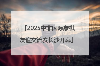 2025中非国际象棋友谊交流赛长沙开幕