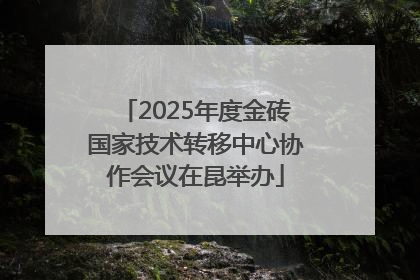 2025年度金砖国家技术转移中心协作会议在昆举办