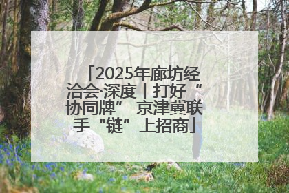2025年廊坊经洽会·深度丨打好“协同牌” 京津冀联手“链”上招商