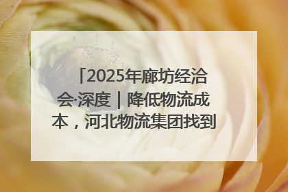 2025年廊坊经洽会·深度｜降低物流成本，河北物流集团找到一把“金钥匙”