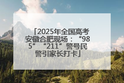2025年全国高考安徽合肥现场：“985”“211”警号民警引家长打卡