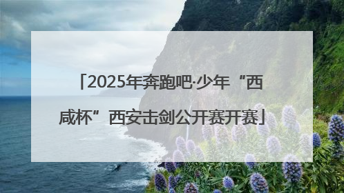 2025年奔跑吧·少年“西咸杯”西安击剑公开赛开赛