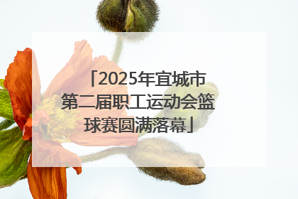 2025年宜城市第二届职工运动会篮球赛圆满落幕