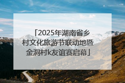 2025年湖南省乡村文化旅游节联动地暨金洞村k友谊赛启幕