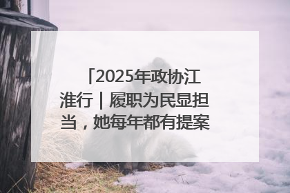 2025年政协江淮行｜履职为民显担当，她每年都有提案被评为“优秀”