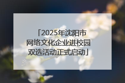2025年沈阳市网络文化企业进校园双选活动正式启动