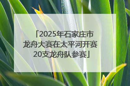 2025年石家庄市龙舟大赛在太平河开赛 20支龙舟队参赛