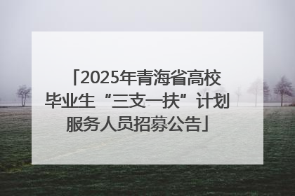 2025年青海省高校毕业生“三支一扶”计划服务人员招募公告