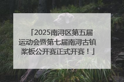 2025南浔区第五届运动会暨第七届南浔古镇桨板公开赛正式开赛！