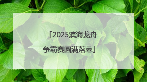 2025滨海龙舟争霸赛圆满落幕