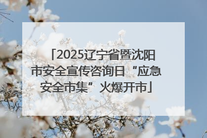 2025辽宁省暨沈阳市安全宣传咨询日“应急安全市集”火爆开市