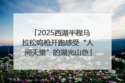 2025西湖半程马拉松鸣枪开跑感受“人间天堂”的湖光山色