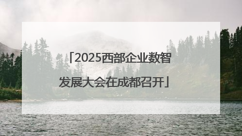 2025西部企业数智发展大会在成都召开