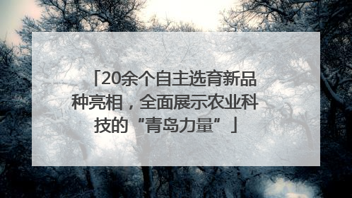 20余个自主选育新品种亮相，全面展示农业科技的“青岛力量”