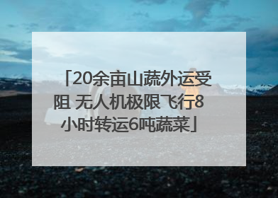 20余亩山蔬外运受阻 无人机极限飞行8小时转运6吨蔬菜