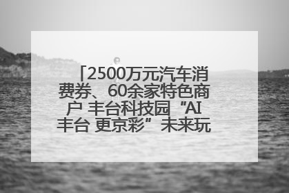 2500万元汽车消费券、60余家特色商户 丰台科技园“AI丰台 更京彩”未来玩家市集活动正式开幕