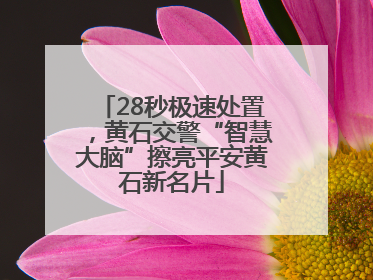 28秒极速处置，黄石交警“智慧大脑”擦亮平安黄石新名片