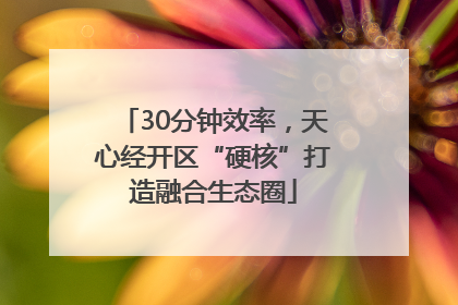 30分钟效率，天心经开区“硬核”打造融合生态圈