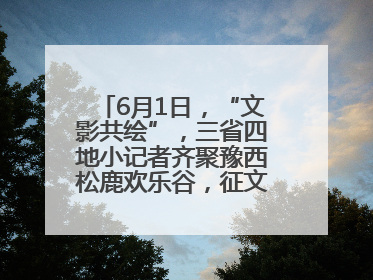 6月1日，“文影共绘”，三省四地小记者齐聚豫西松鹿欢乐谷，征文暨短视频大赛精彩启幕！