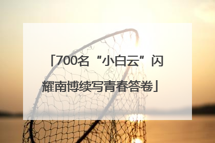 700名“小白云”闪耀南博续写青春答卷